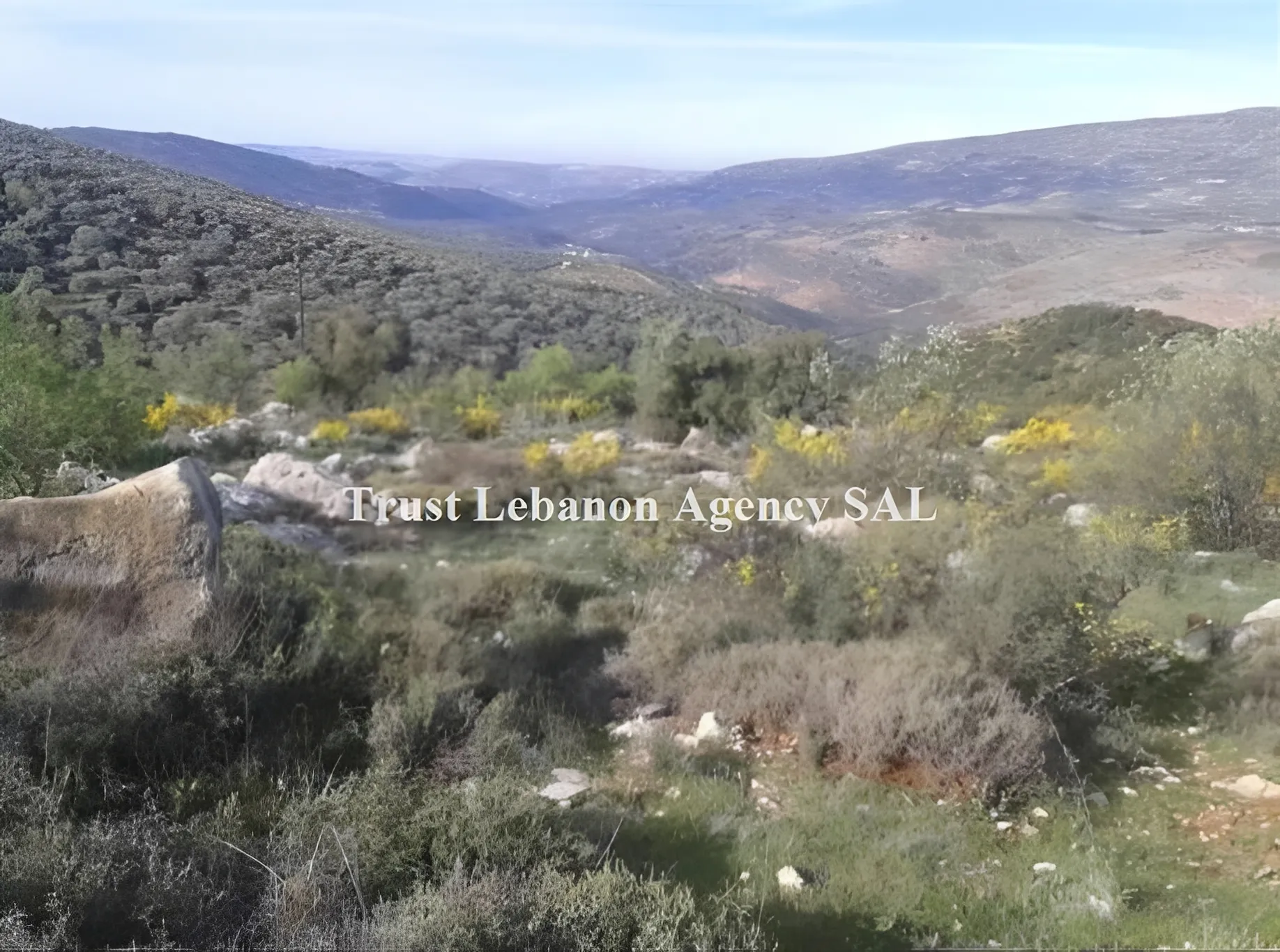 Land for Sale in Hasbaya