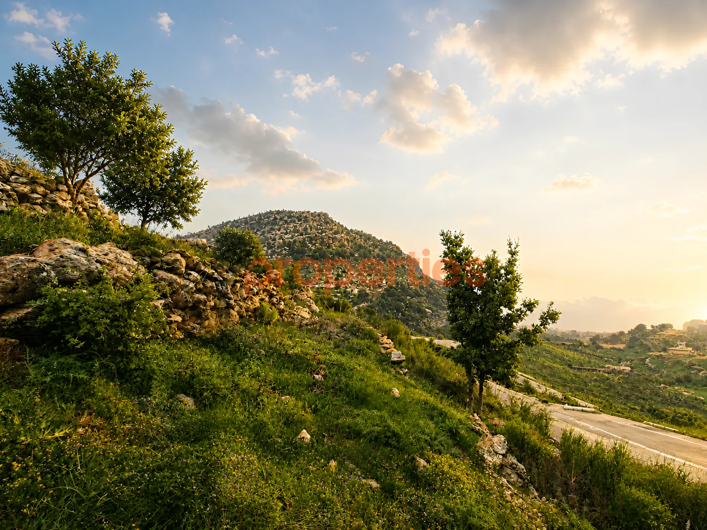 Residential Land for Sale in Douma