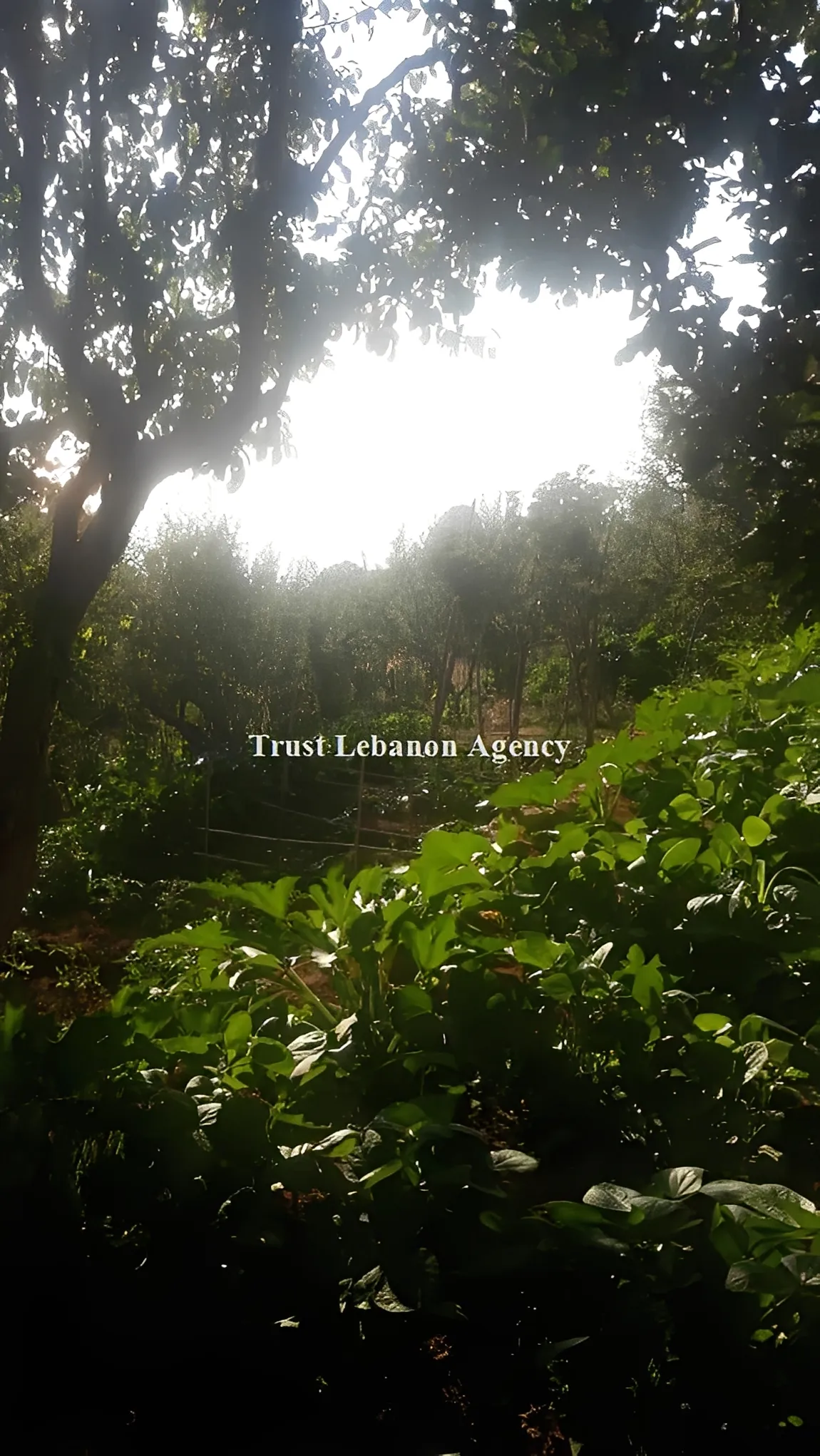 Land for Sale in Metn Mtein Lebanon
