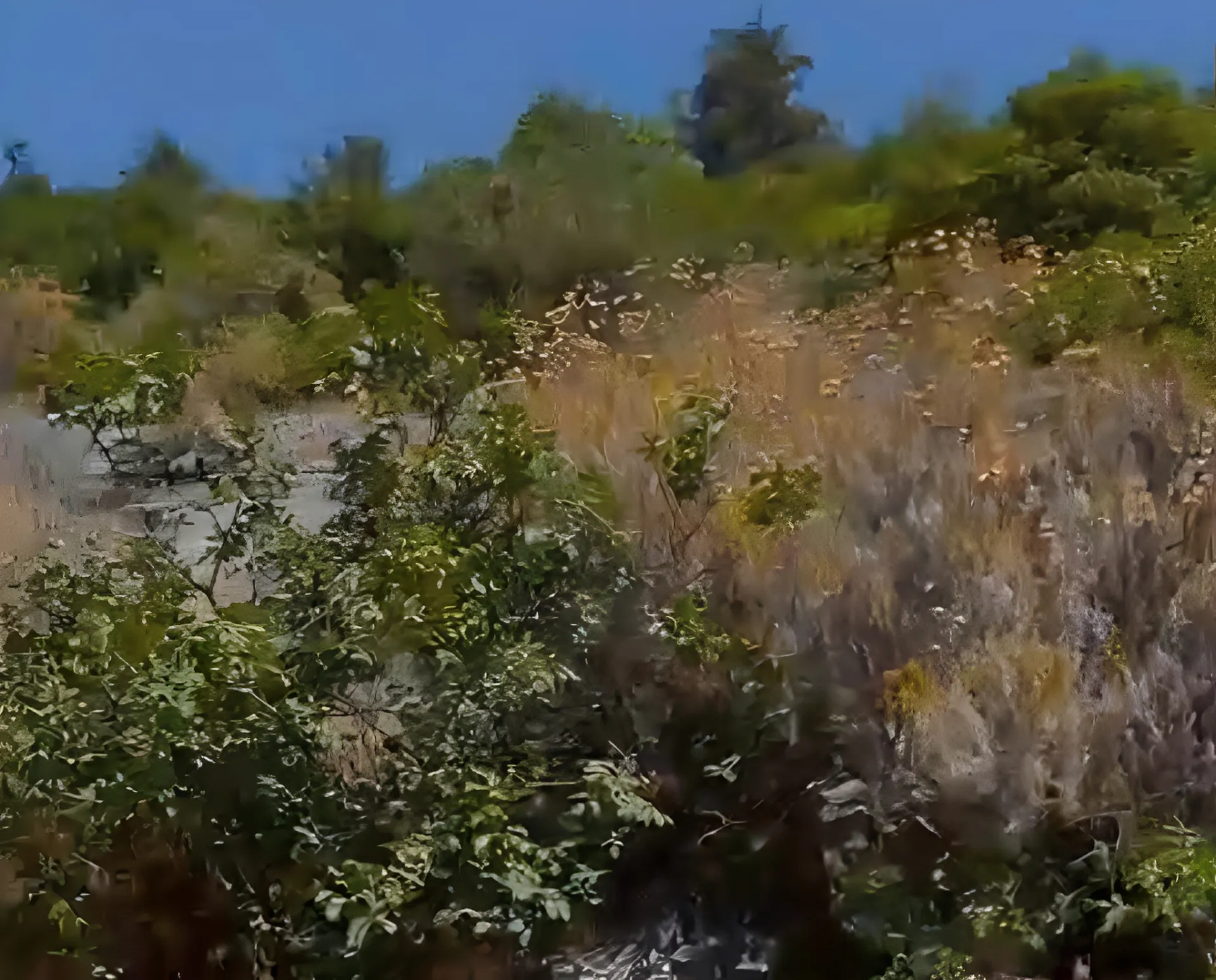 Land for Sale in Zgharta