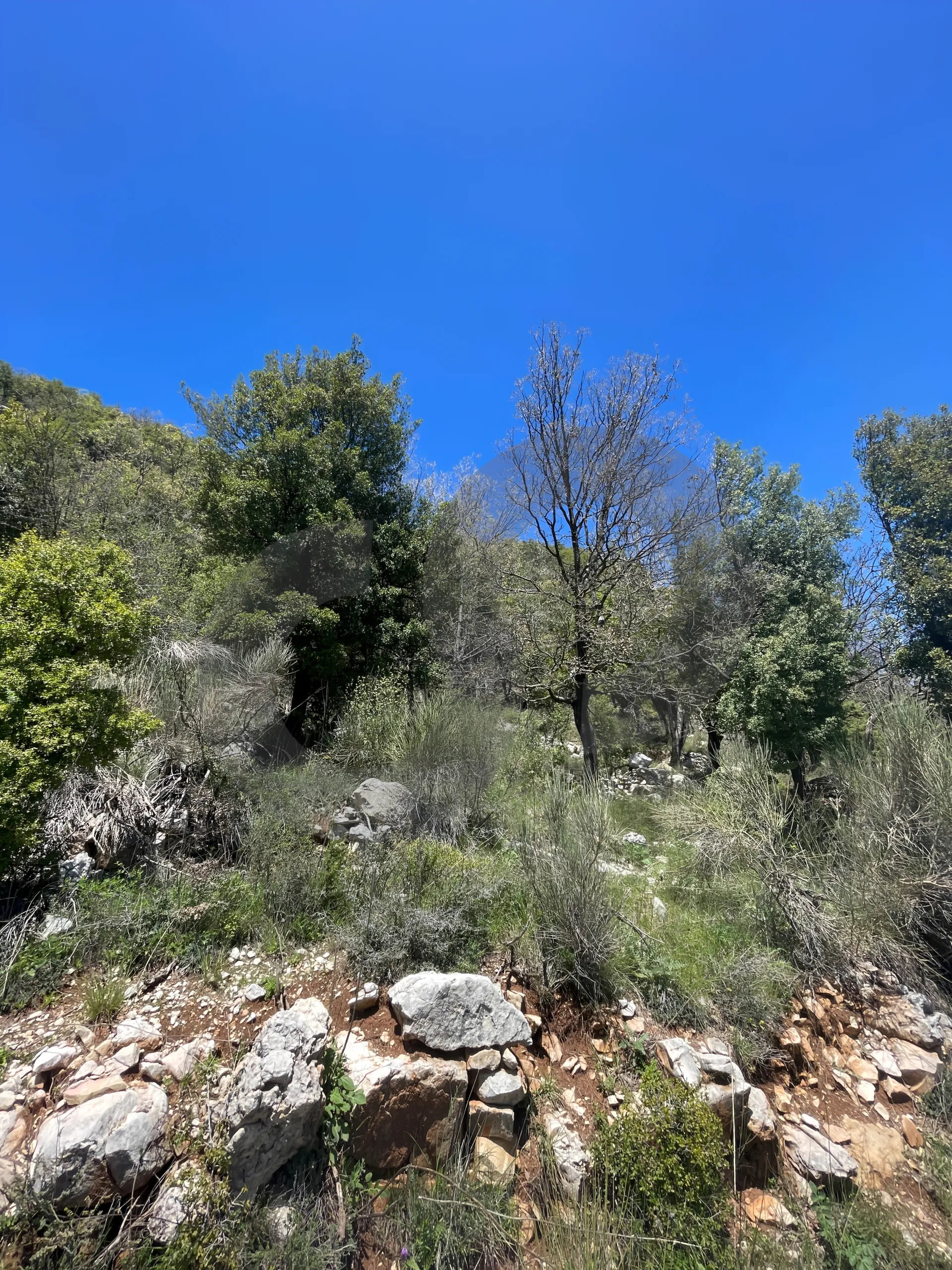 Land for Sale in Ehmej