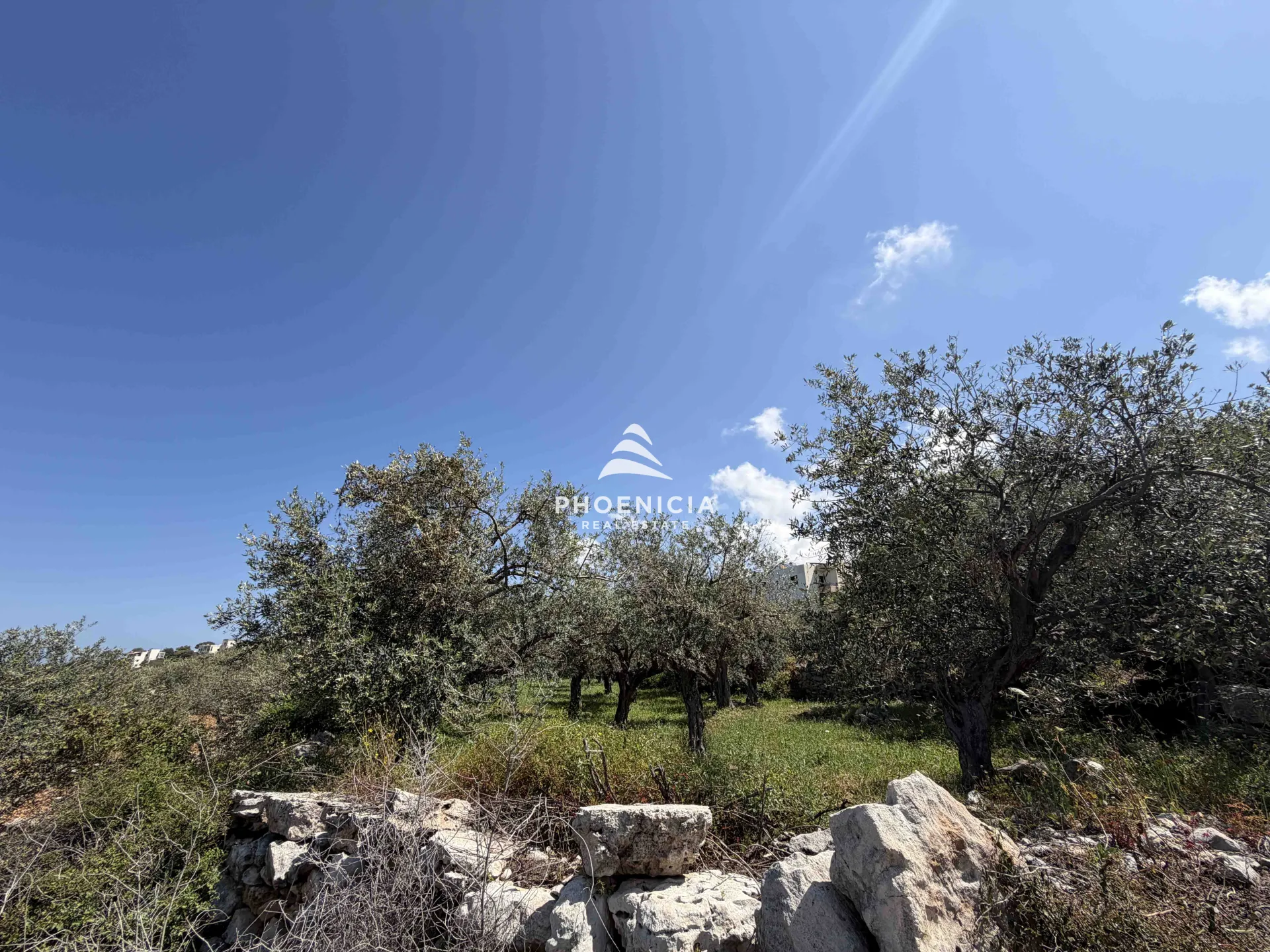 Land for Sale in Monsef