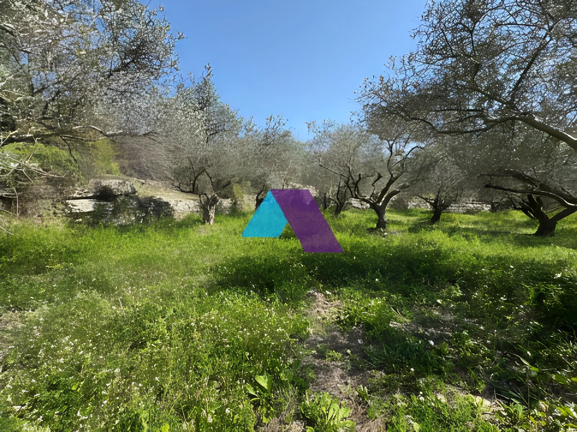 Land for Sale in Rihani