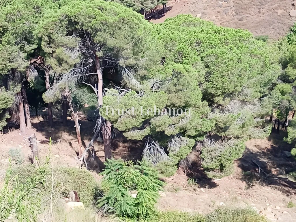 Commercial Land for rent in Mkalles, Lebanon