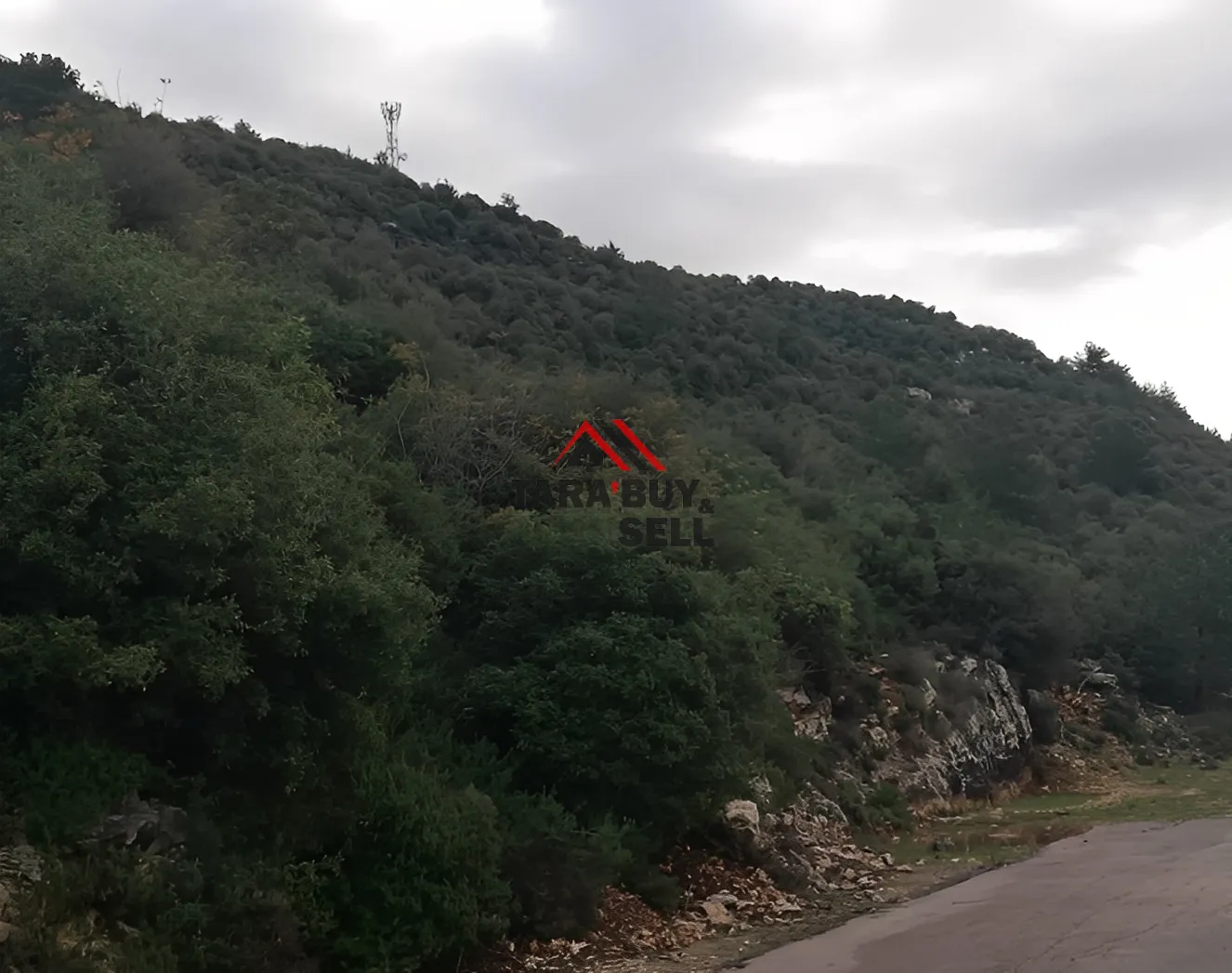 Land for Sale in Blat, Lebanon