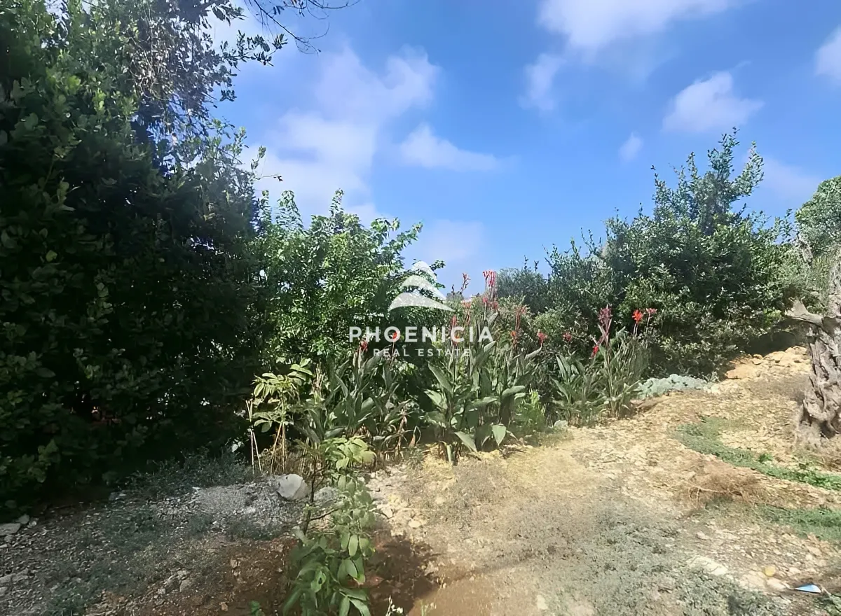 Residential Land for sale in Edde
