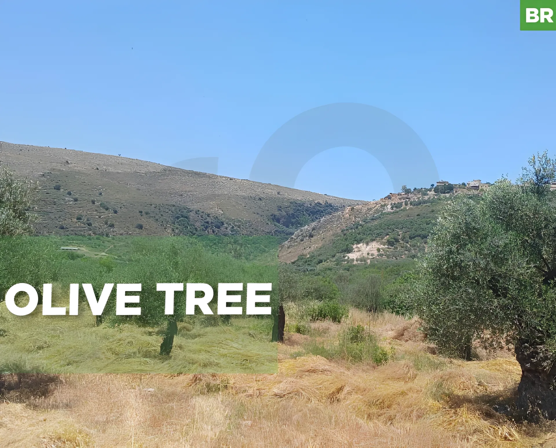 Land for Sale in Koura