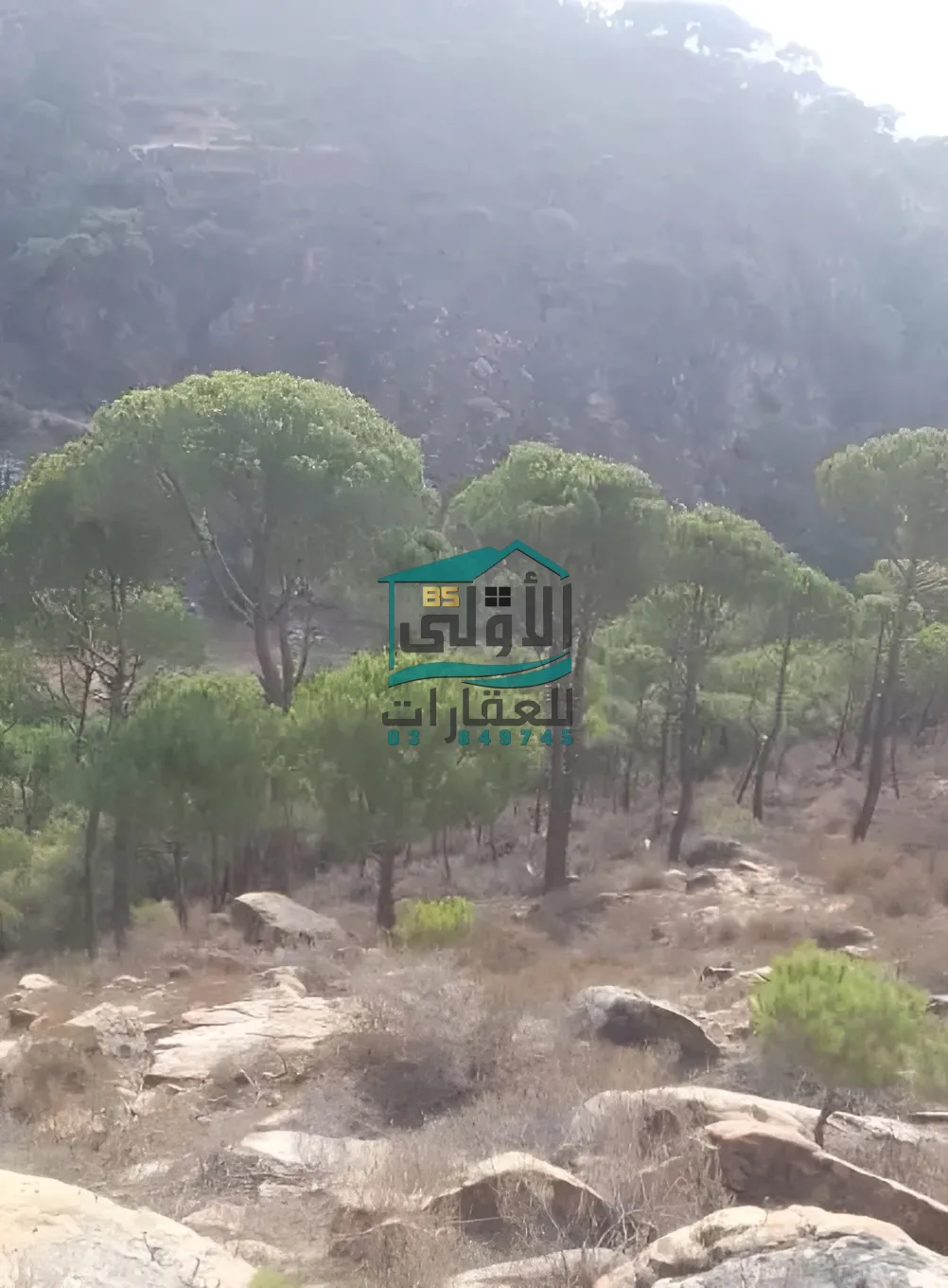 Land in الكفير، حاصبيّا، lebanon