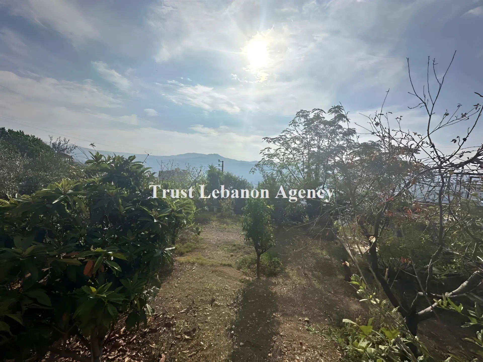 Land for Sale in Metn Broumana Lebanon