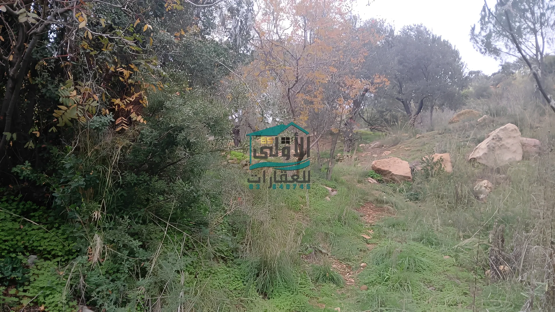 Land in Daqqoun, lebanon