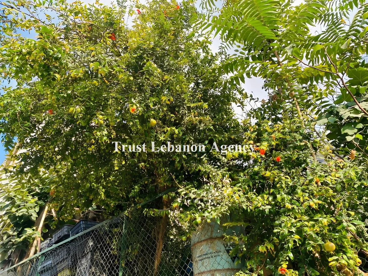 Apartment for Sale in Metn Khonchara Lebanon