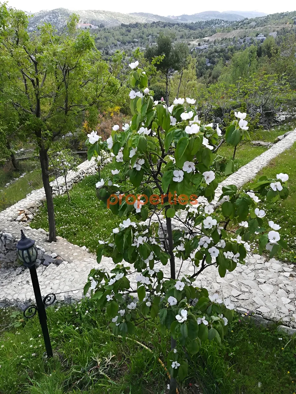 Villa for Sale in Zandouqah