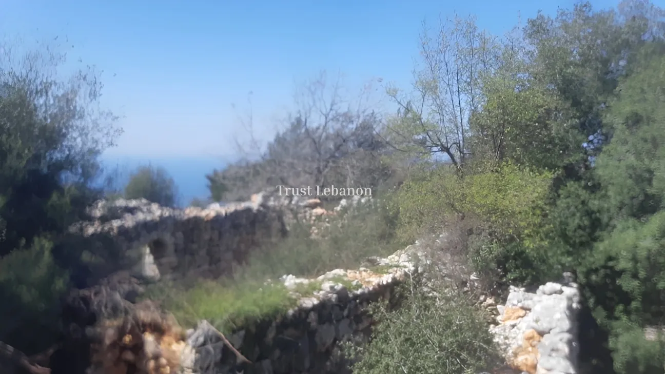 Residential Land for sale in Jouret el-Termos, Lebanon
