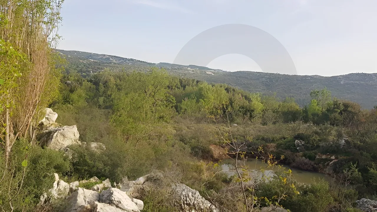 Land for Sale in Lehfed
