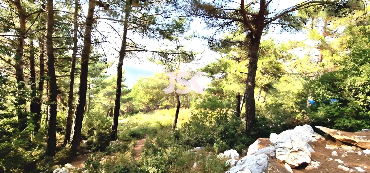 Land for Sale in Batroun, Lebanon