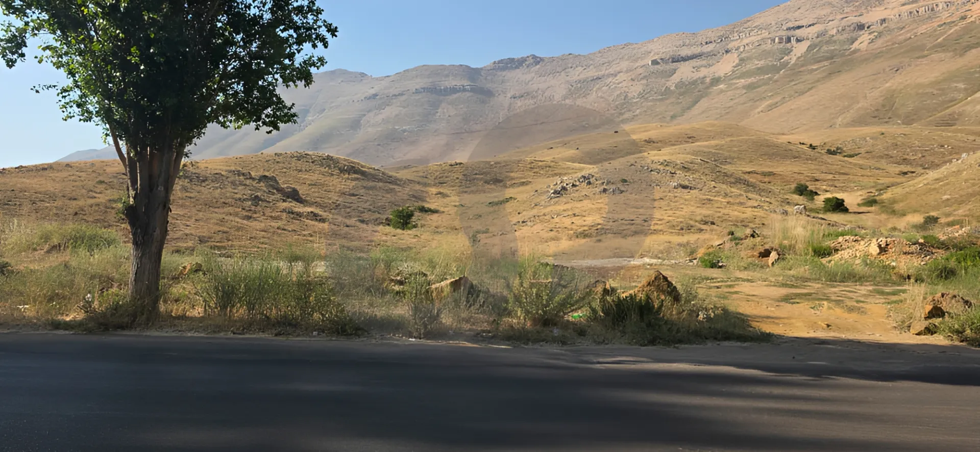 Land for Sale in Ariz