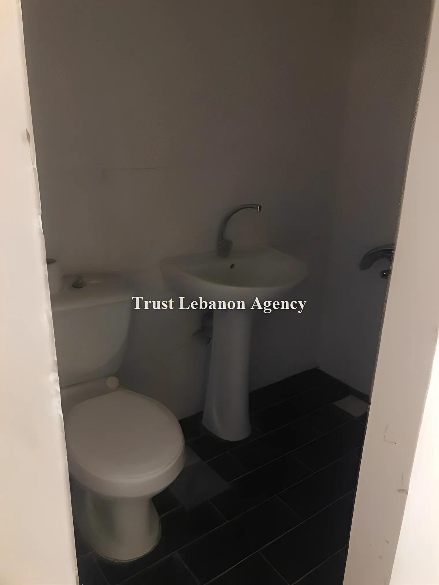 Apartment for Rent in Manara Beirut Lebanon