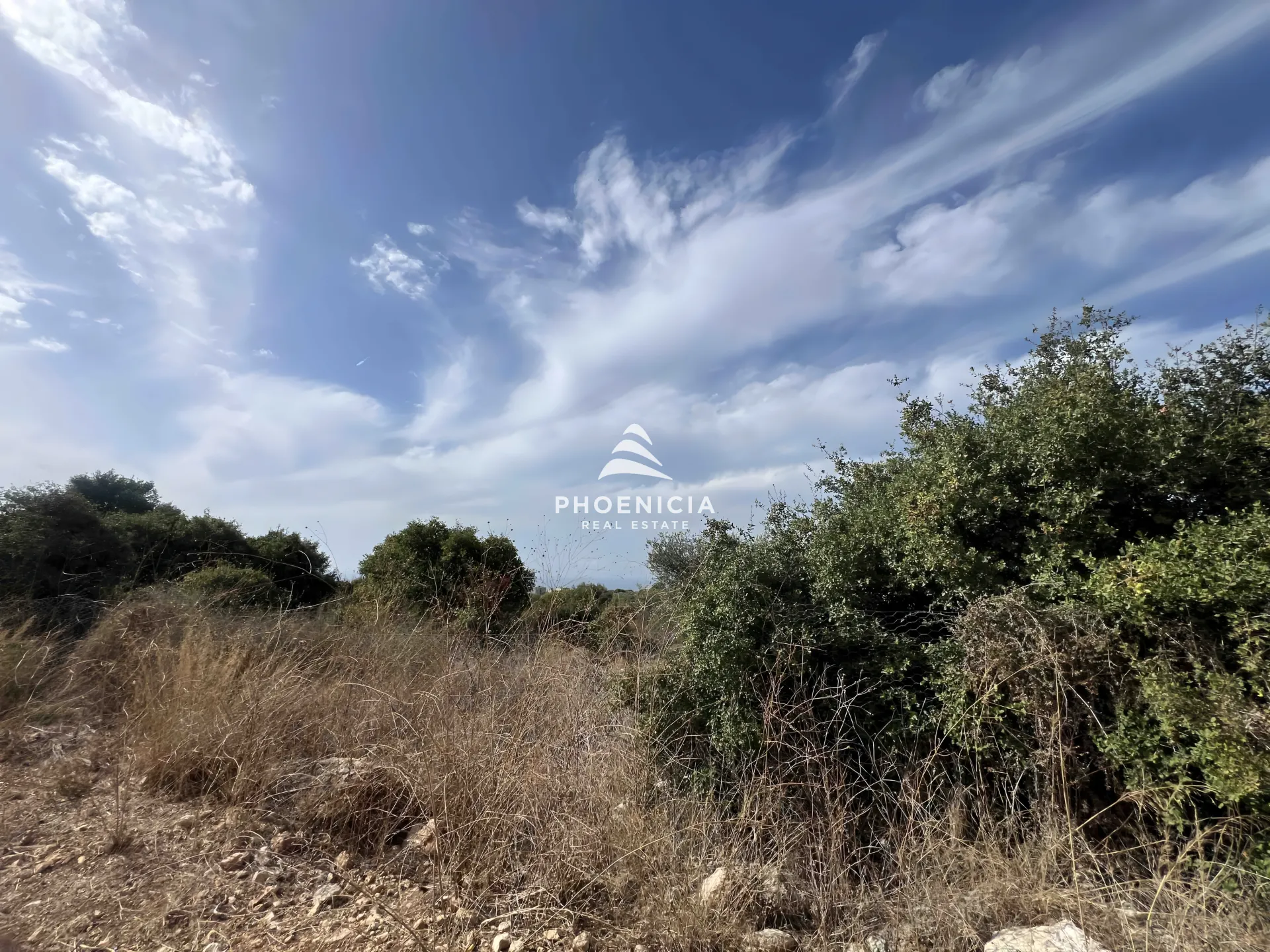 Land for Sale in Chikhane