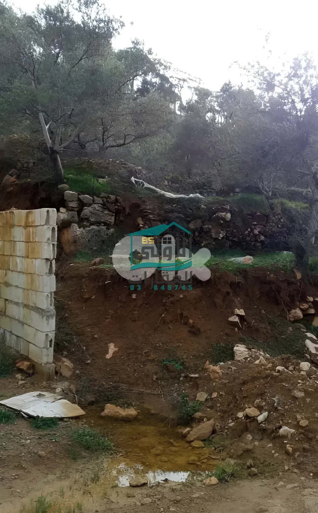 Land in عاليه، lebanon