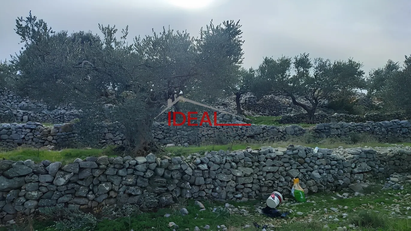Land for Sale in Chabtine, Lebanon