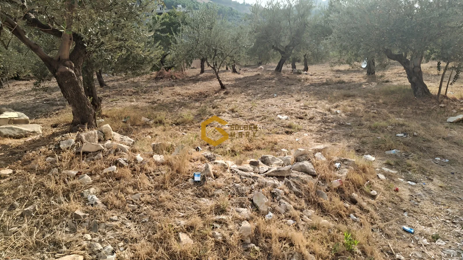 Land for Sale in Kousba