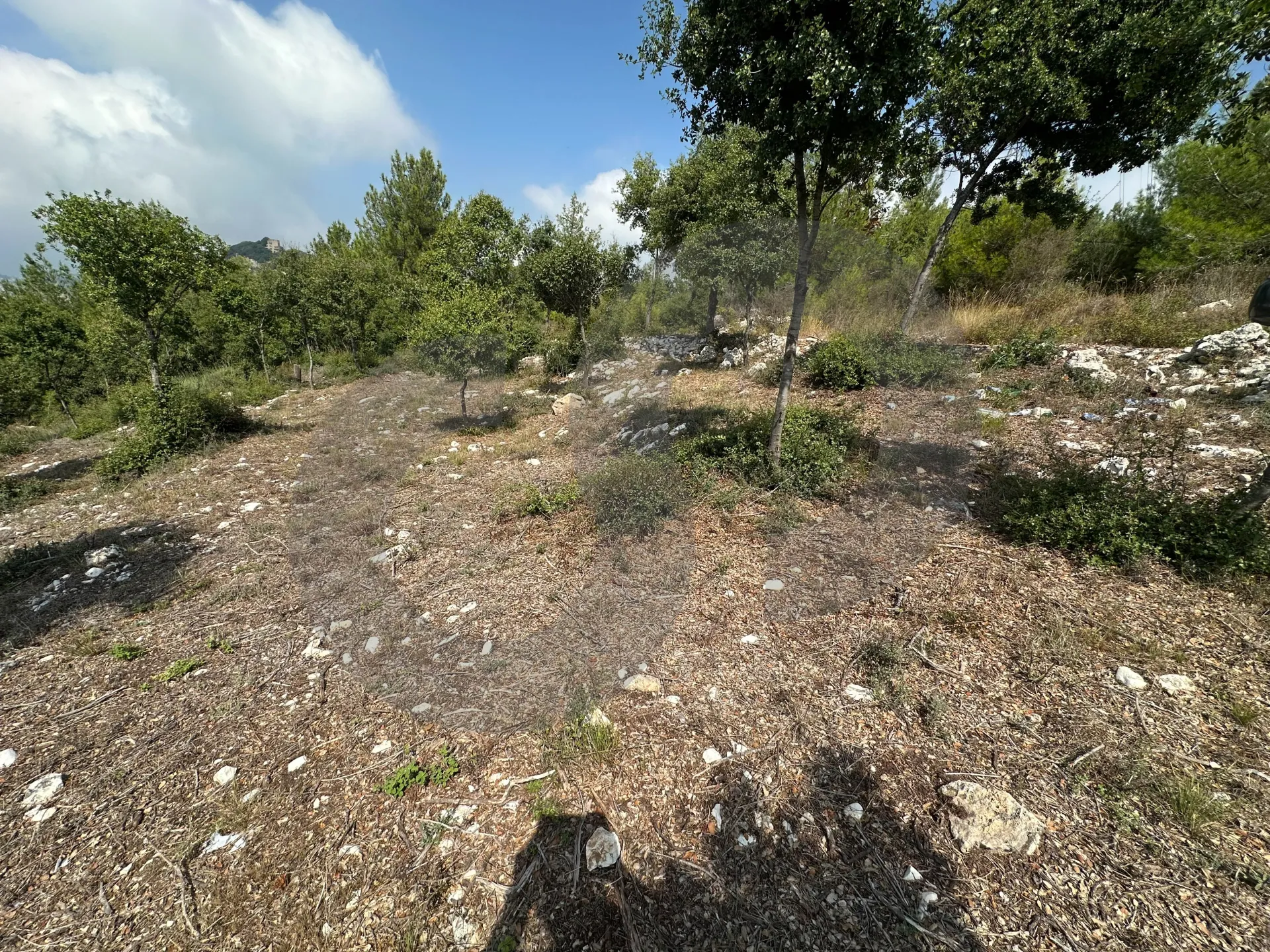 Land for Sale in Fatre
