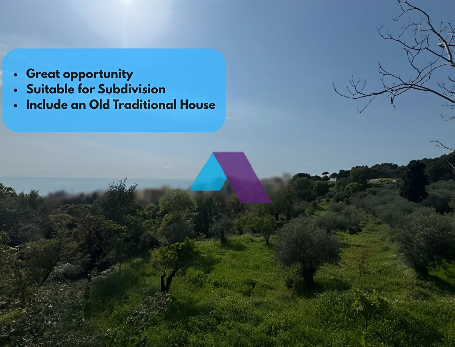 Land for Sale in Aamchit