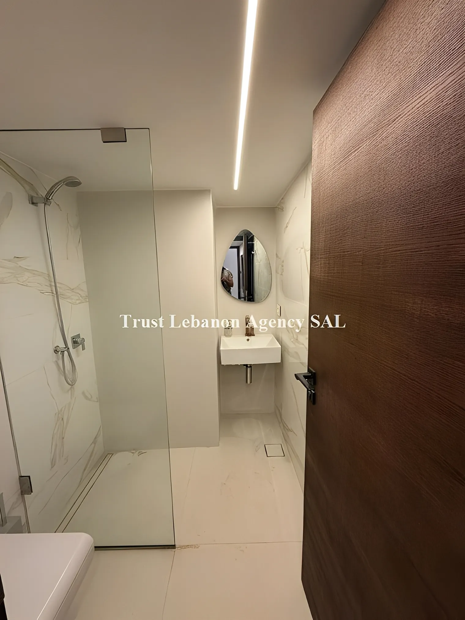 Apartment for Rent in Ashrafieh Beirut Lebanon