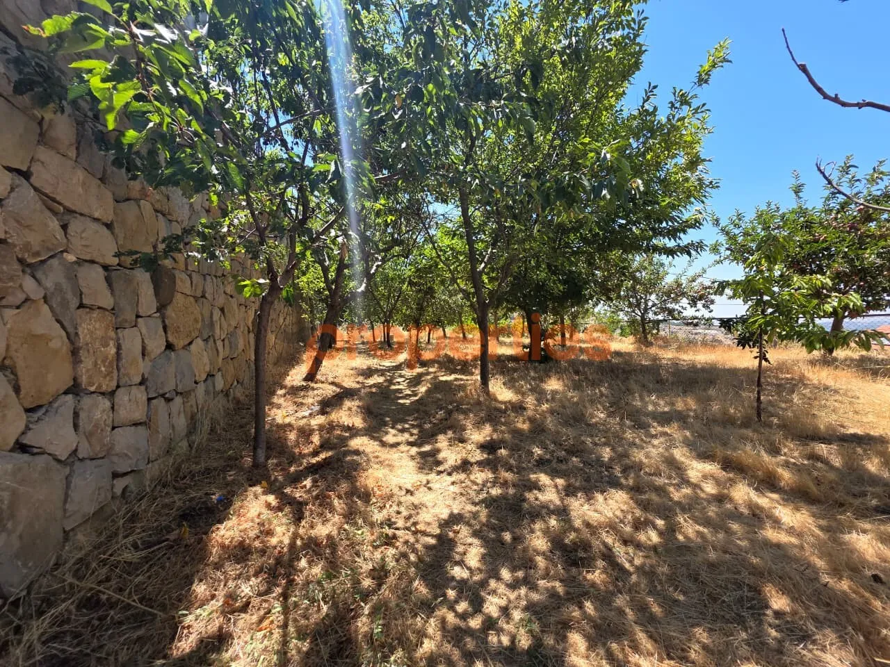 Villa for Rent in Zaarour