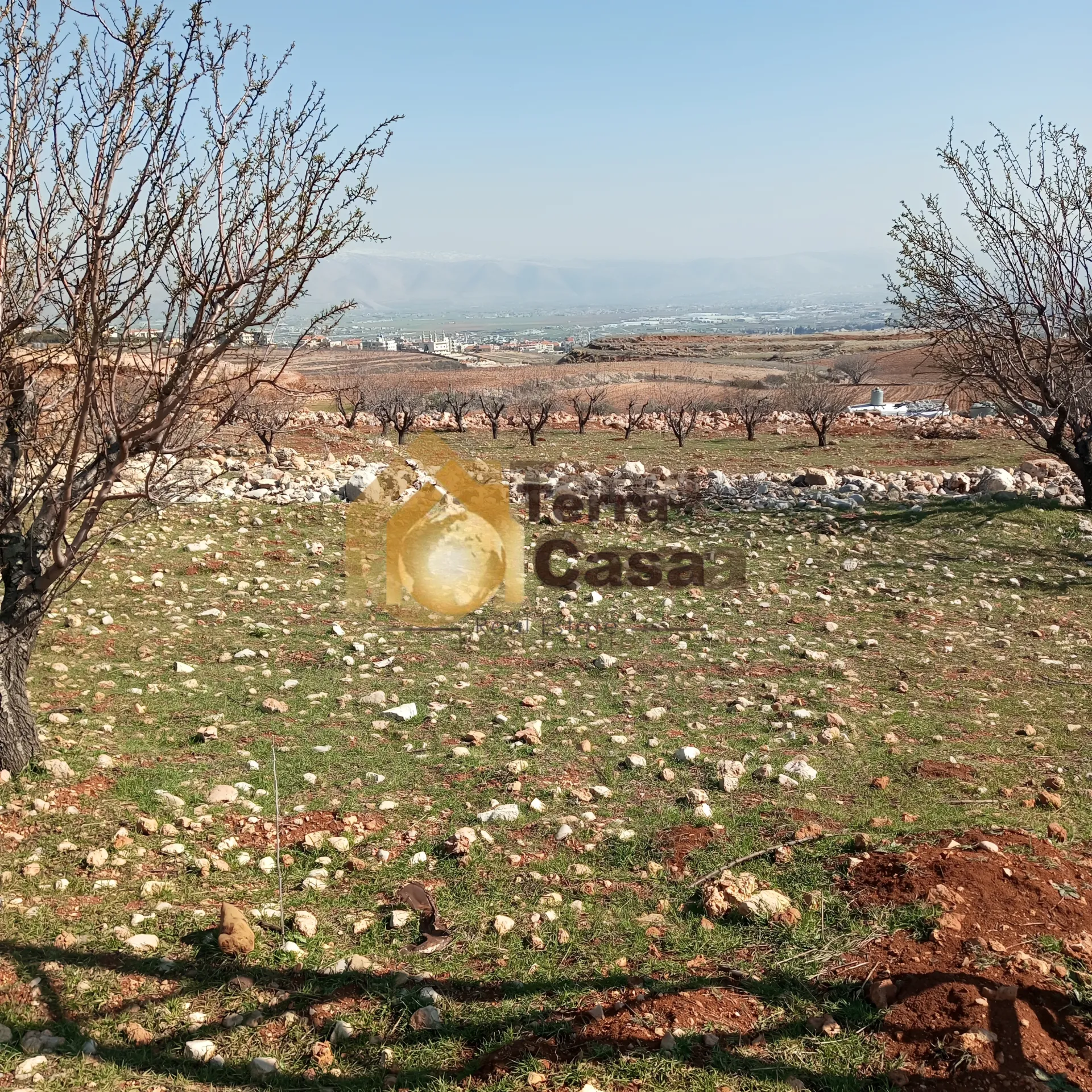 Land for Sale in Zahle