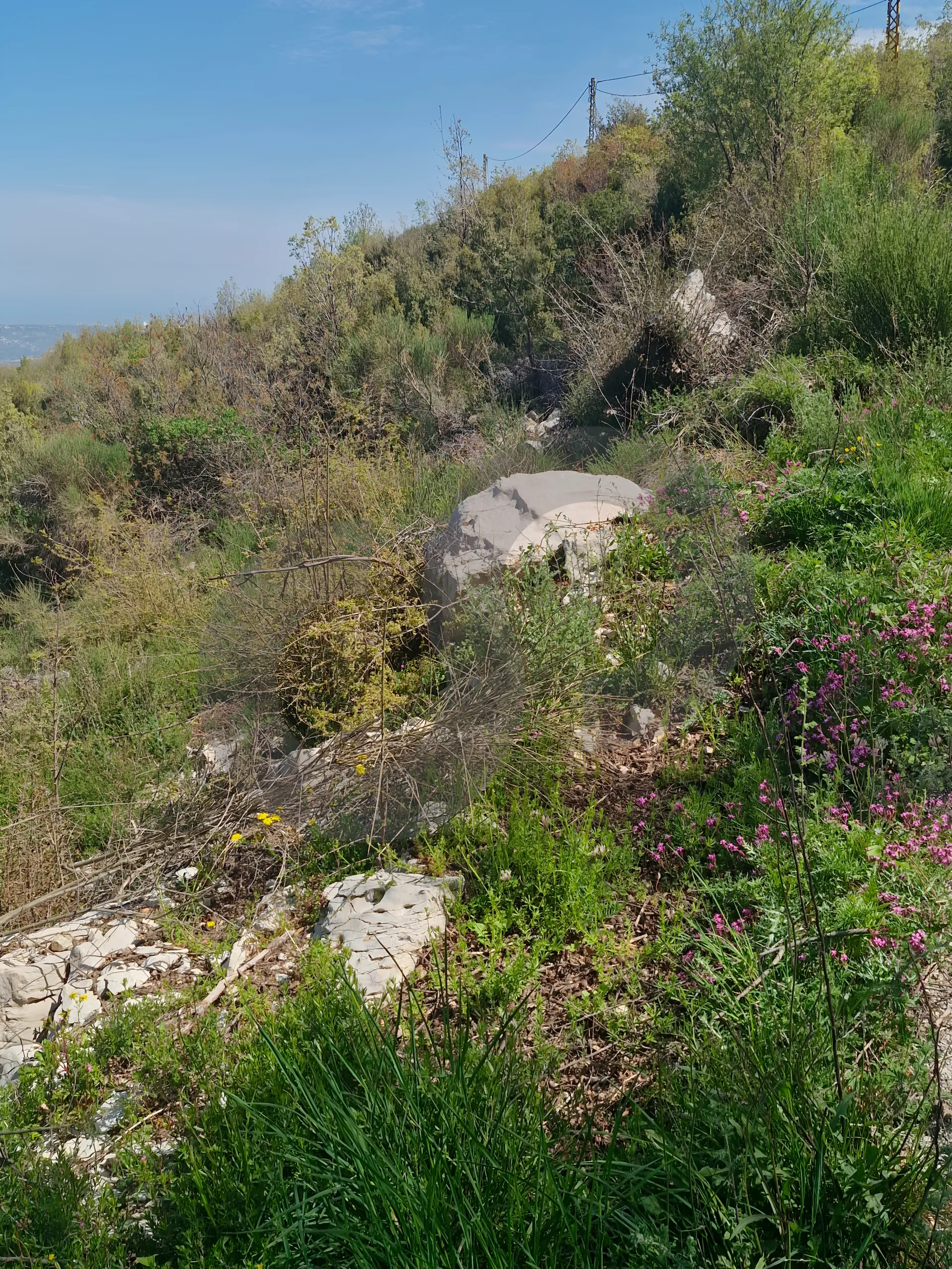 Land for Sale in Batroun