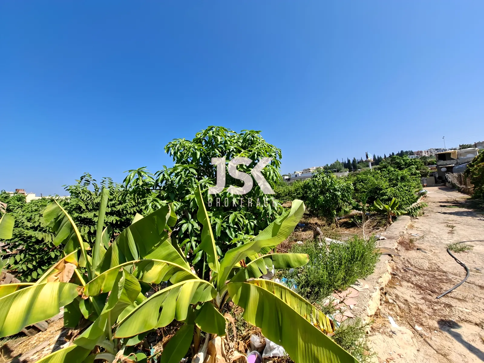 Land for Rent in Aamchit
