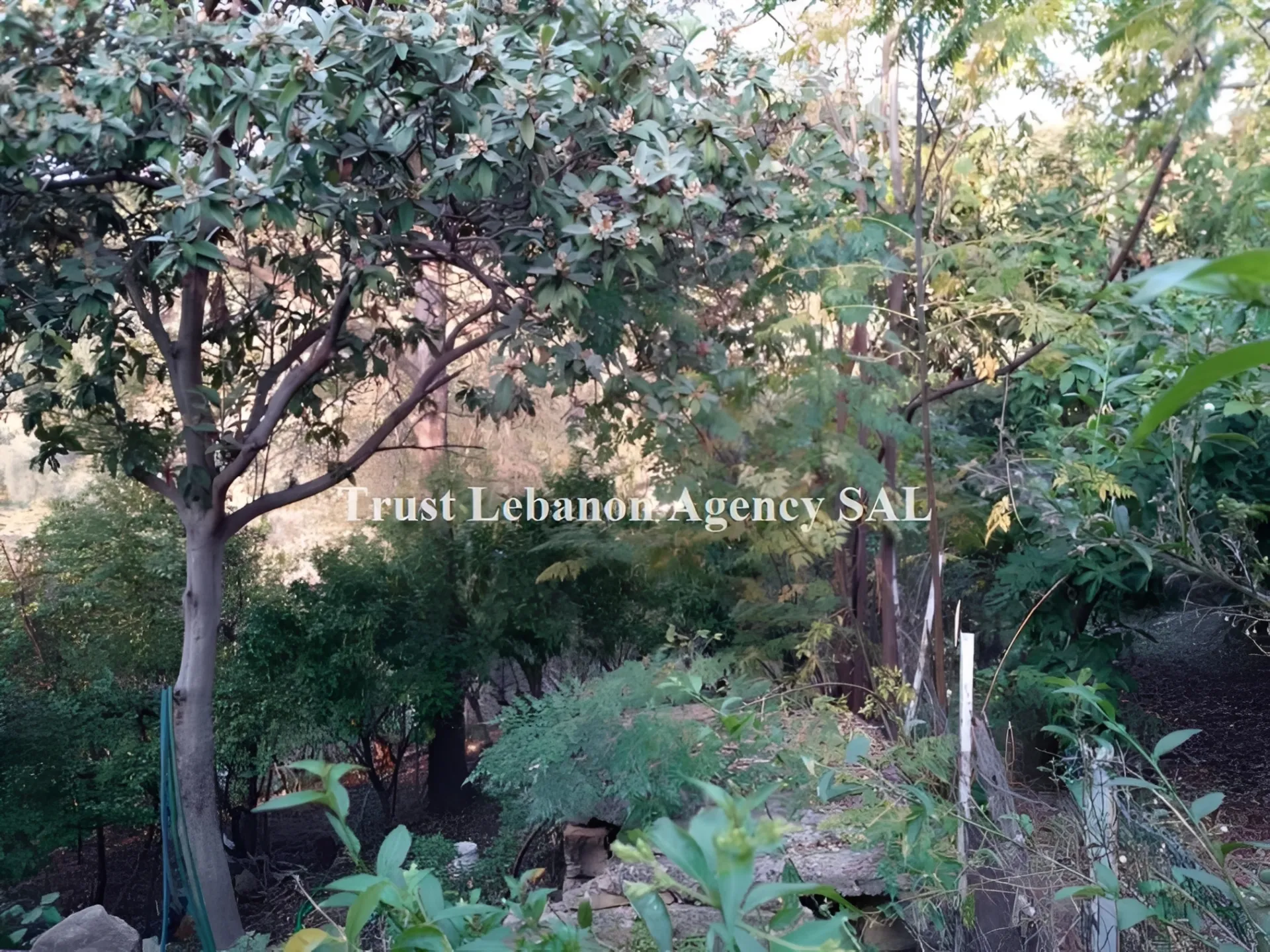 Land for Sale in Baabda Bleibel Lebanon