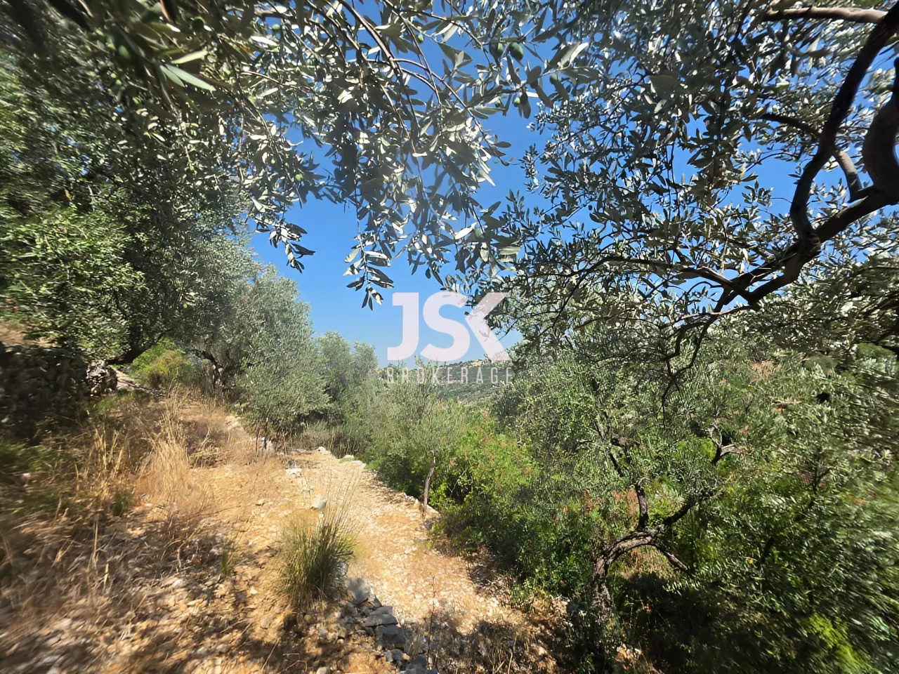 Land for Sale in Batroun