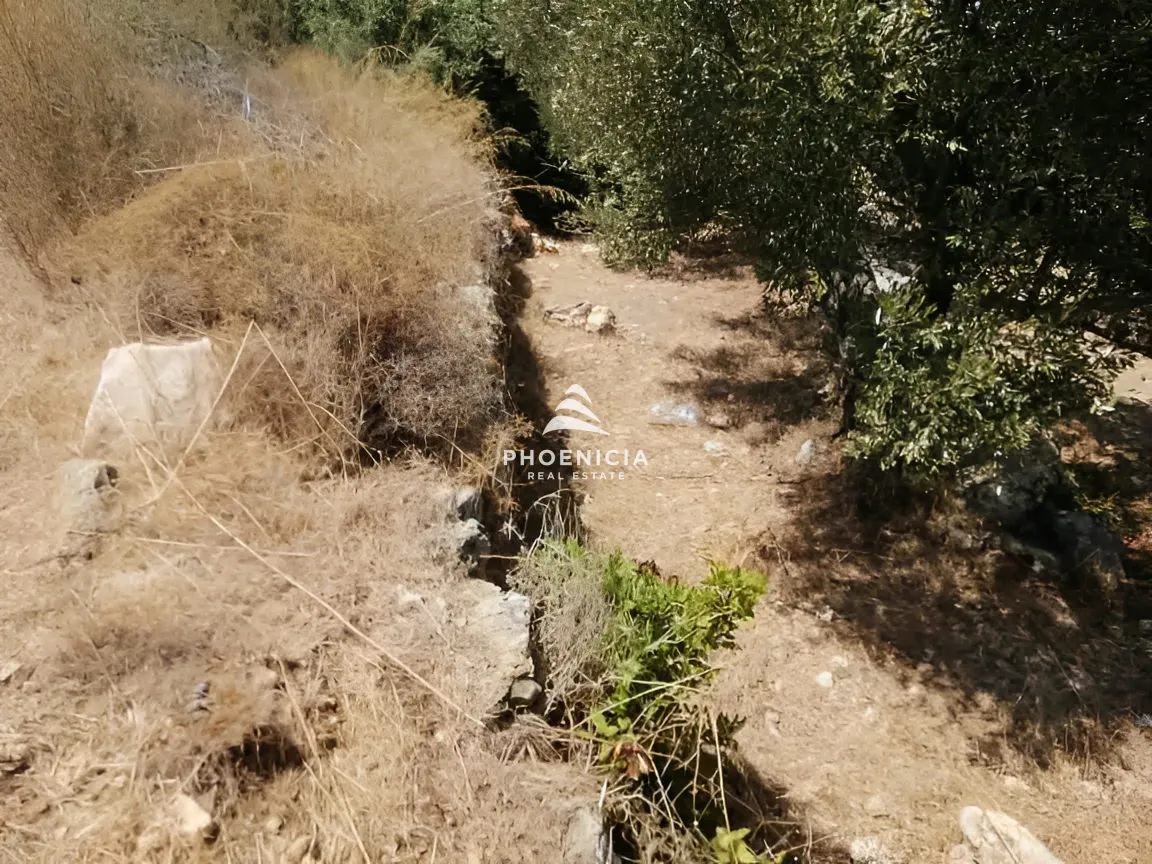 Land for Sale in Monsef