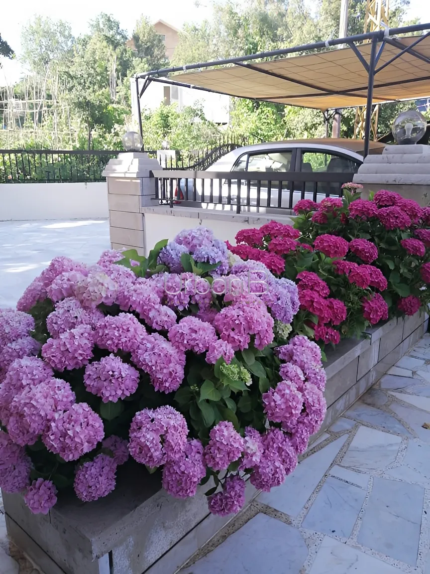 Residential in Faitroun, lebanon