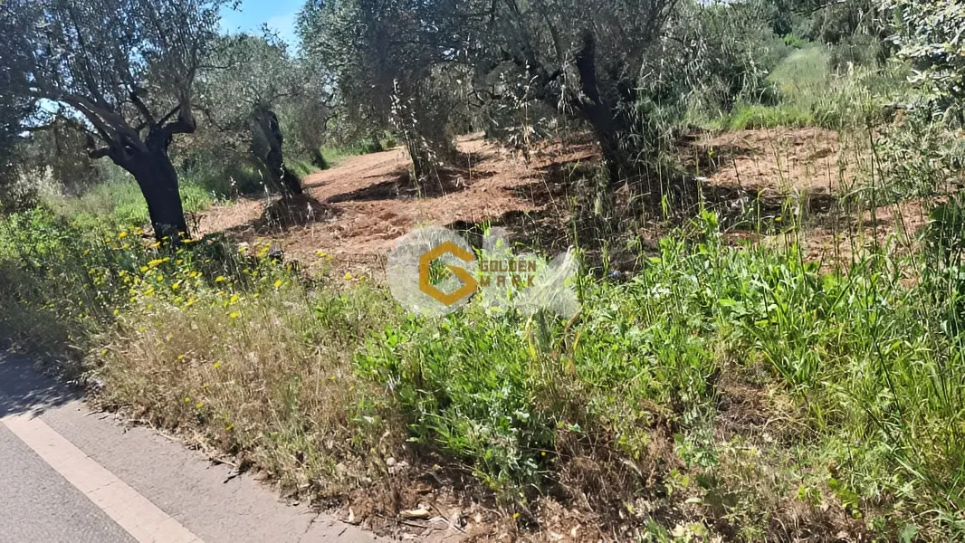 Land for Sale in Koura