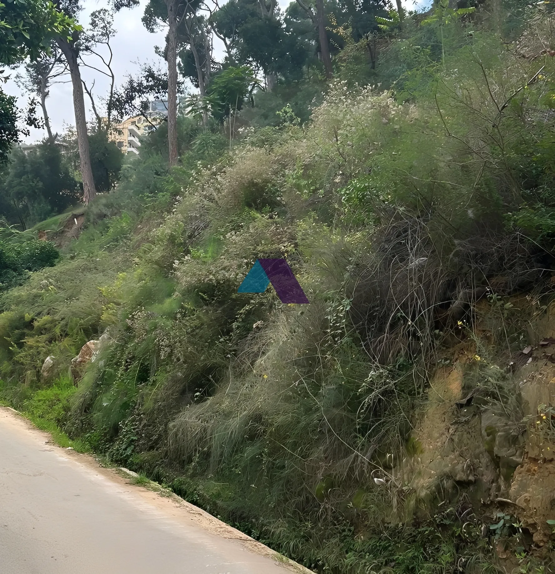 Land for Sale in Ain Saadeh