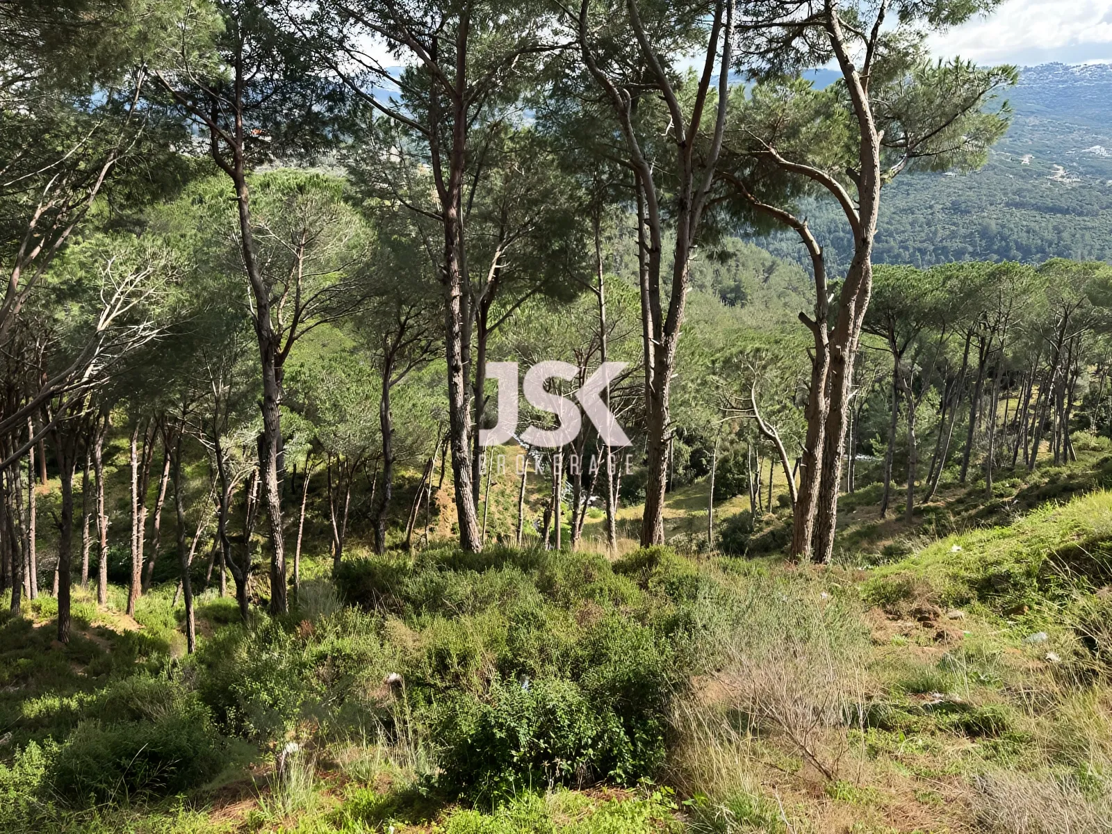 Land for Sale in Broummana