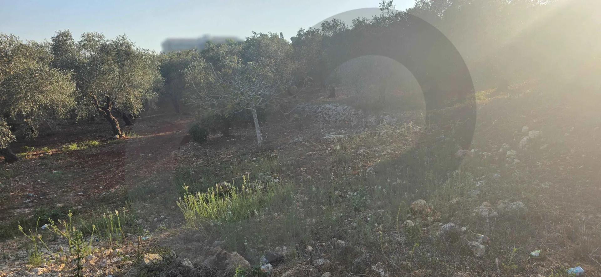 Land for Sale in Koura