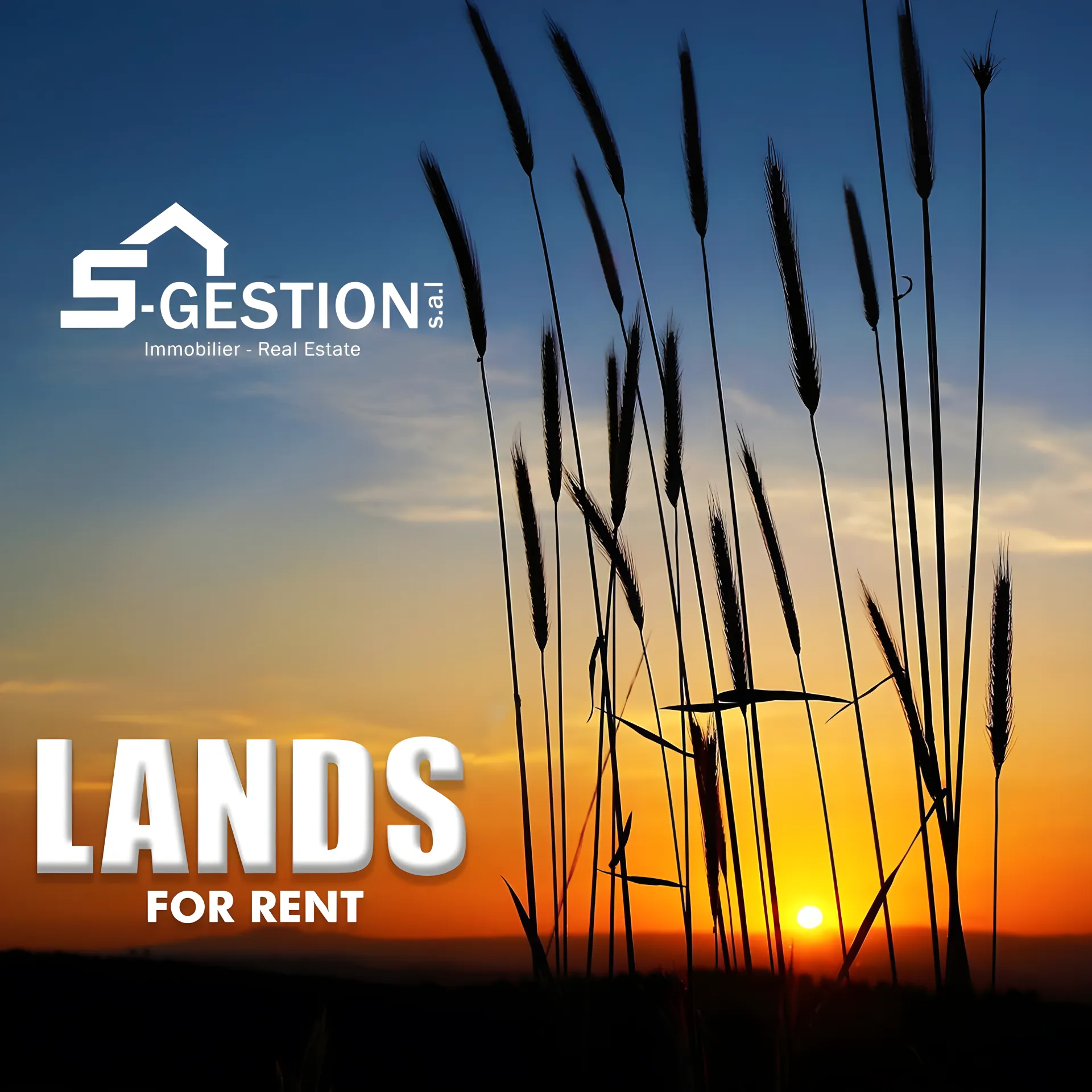 Land for Rent in Horch Tabet