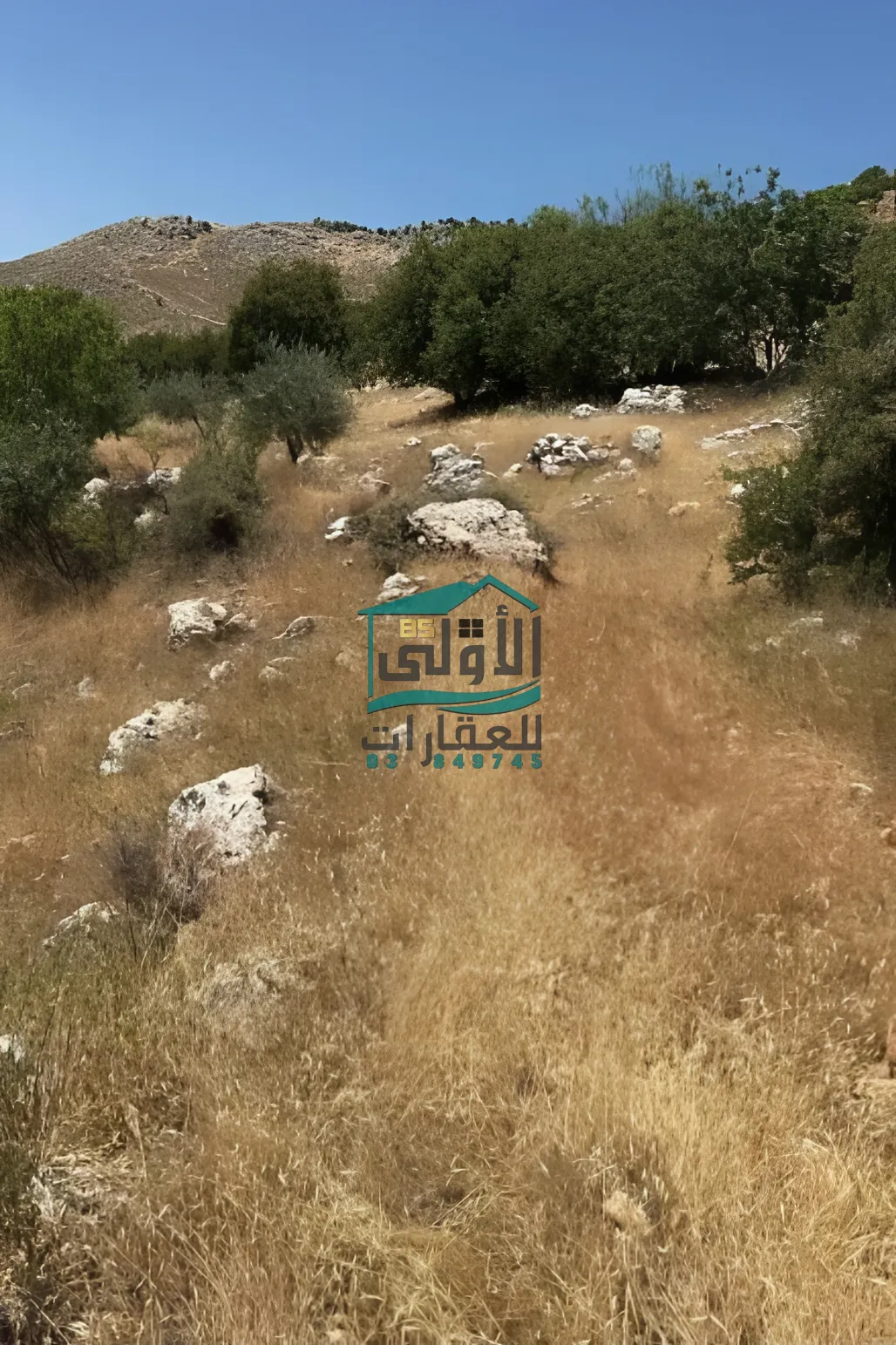 Land in كوكبا، راشيَا، lebanon