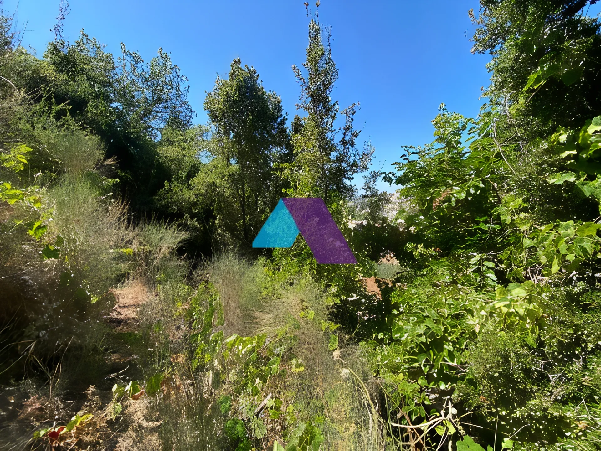 Land for Sale in Mayrouba
