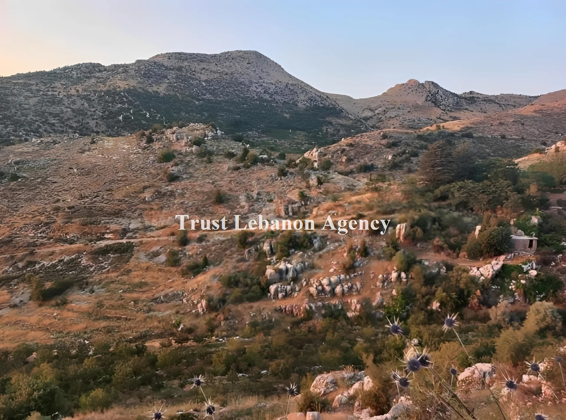 Land for Sale in Tannourine Batroun