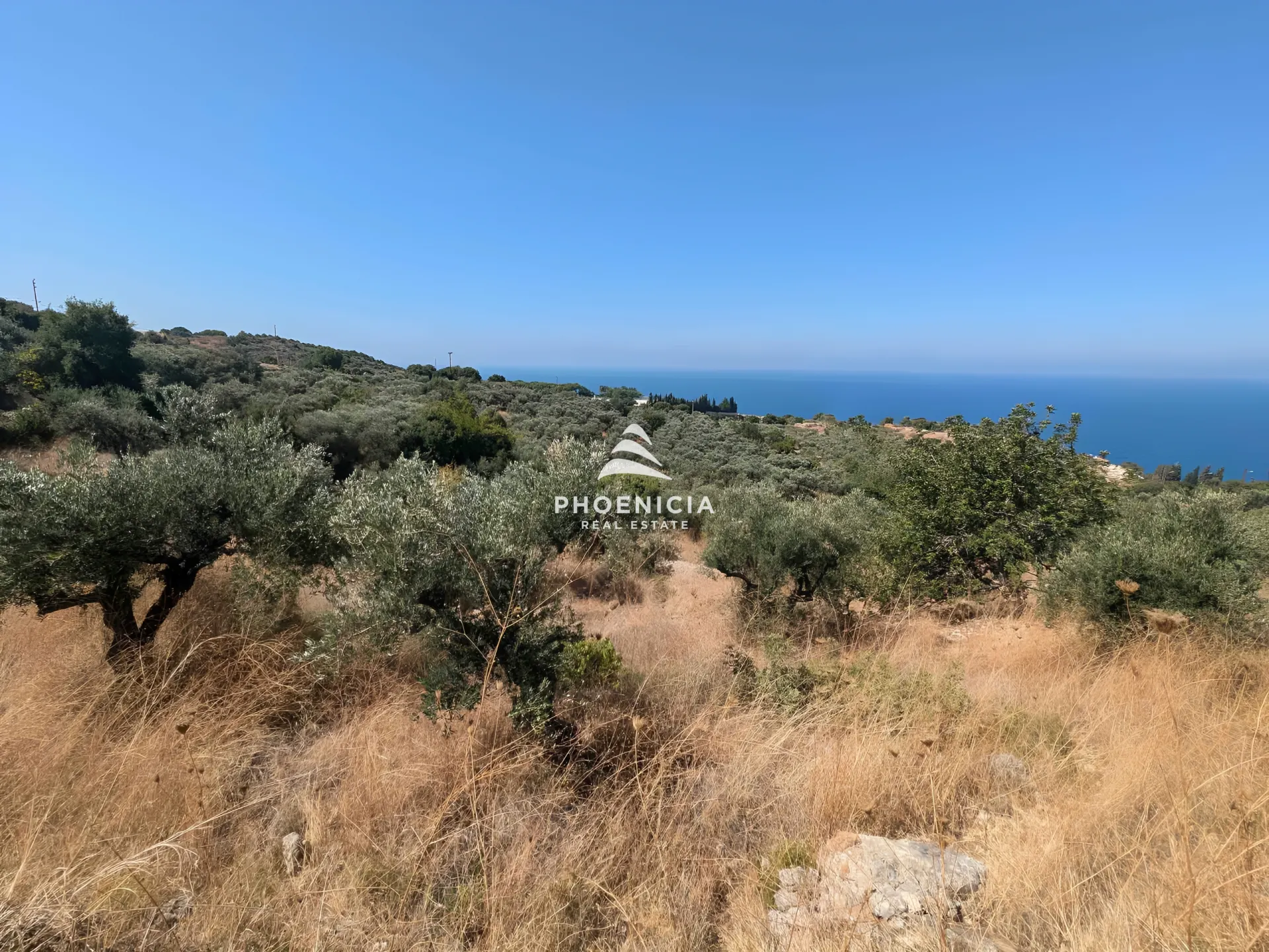 Land for Sale in Kfar Kedah, Lebanon
