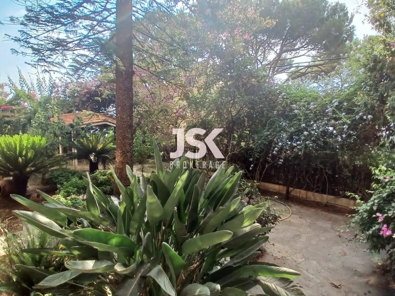 Building for Sale in Ain Saadeh