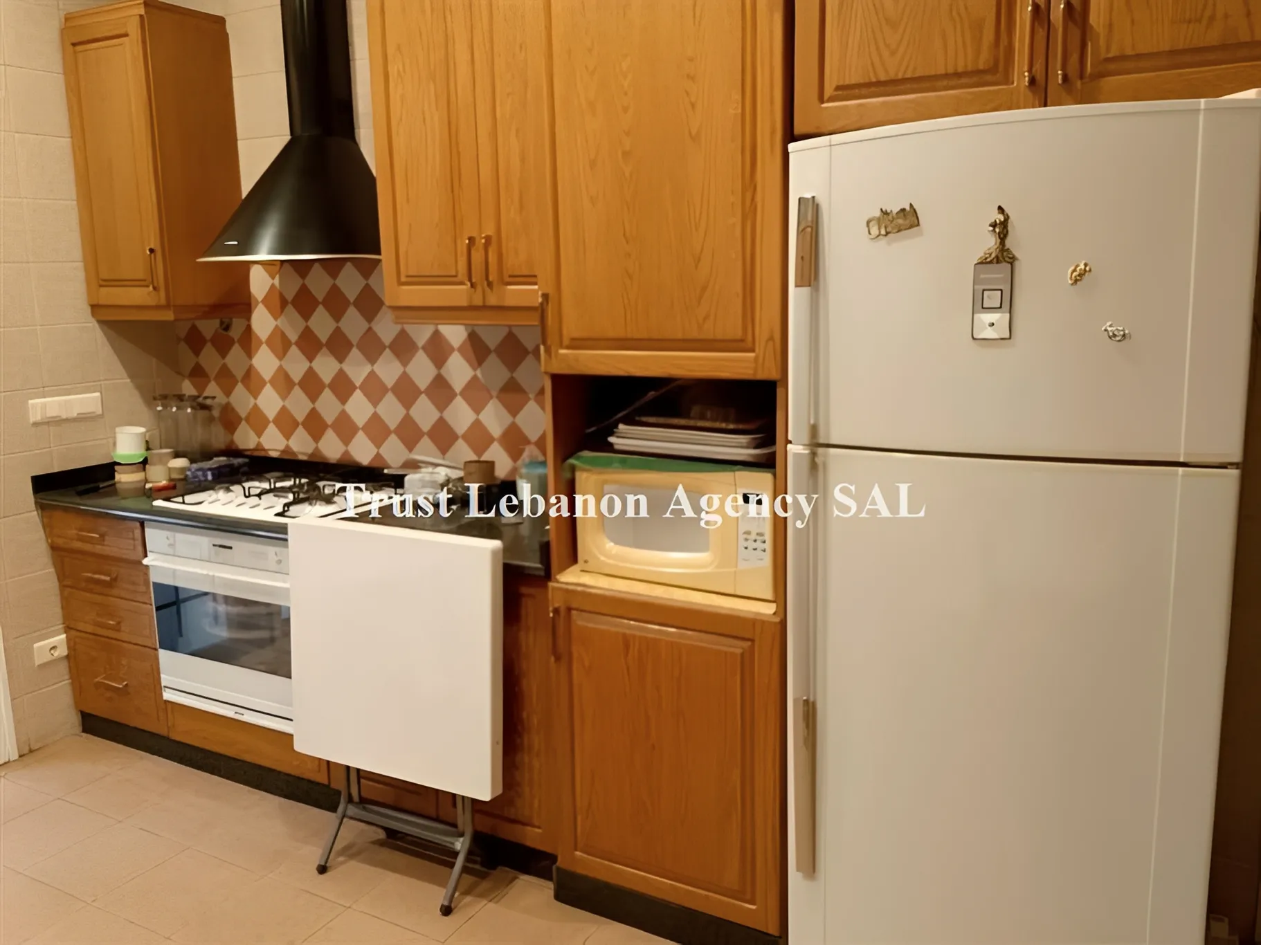 Apartment for Rent in Ashrafieh Beirut Lebanon