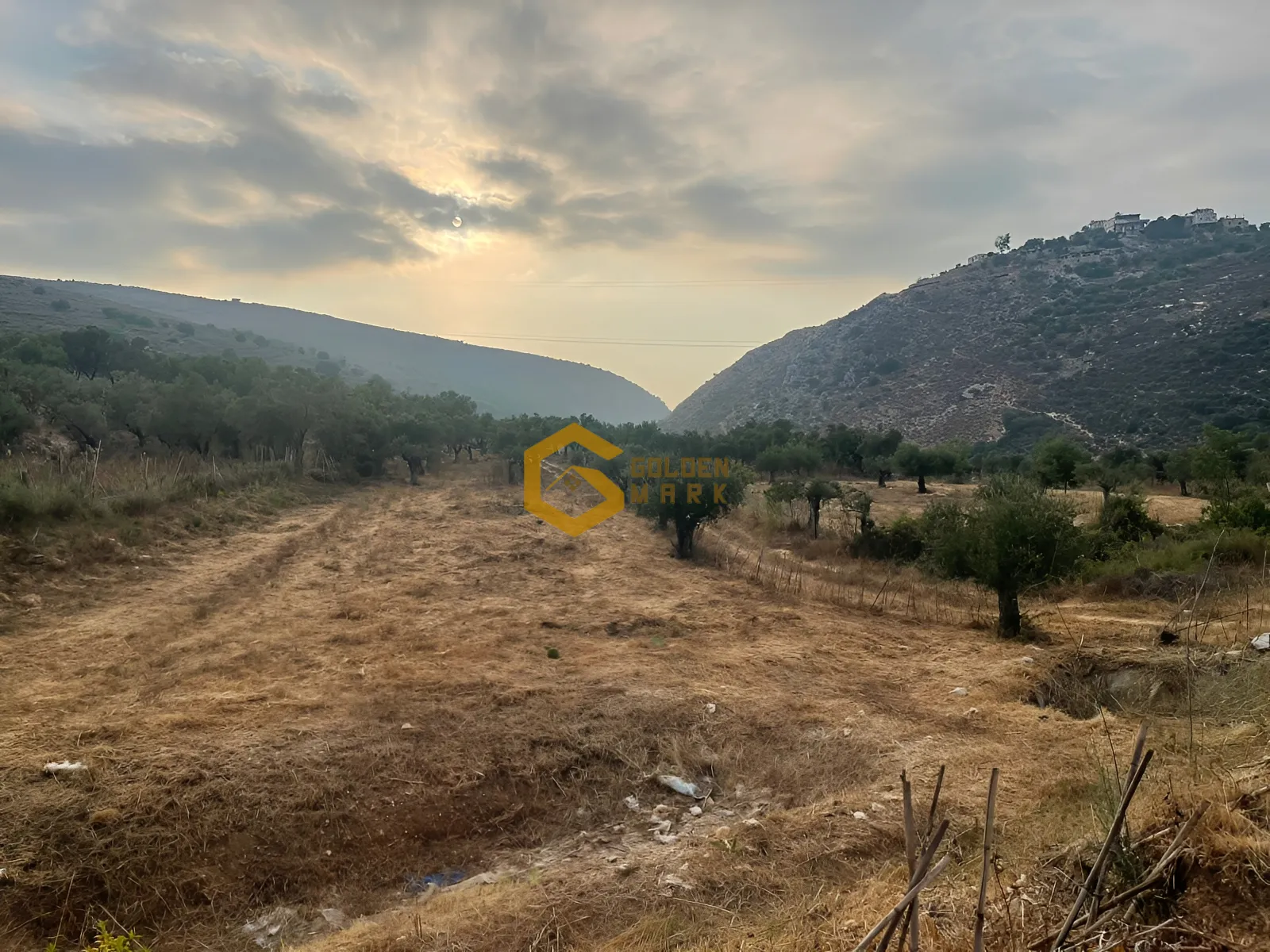Land for Sale in Majdal
