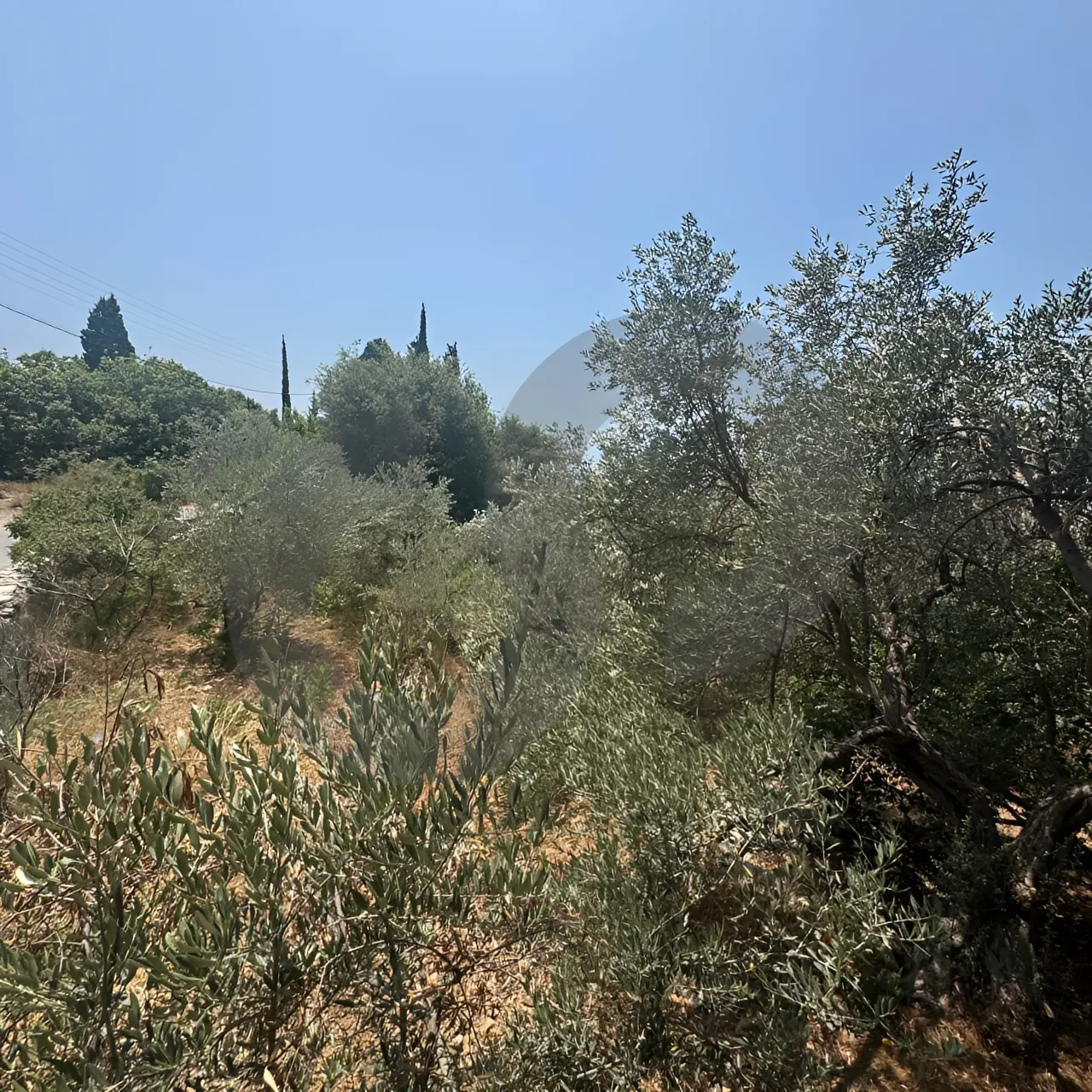 Land for Sale in Mansourieh