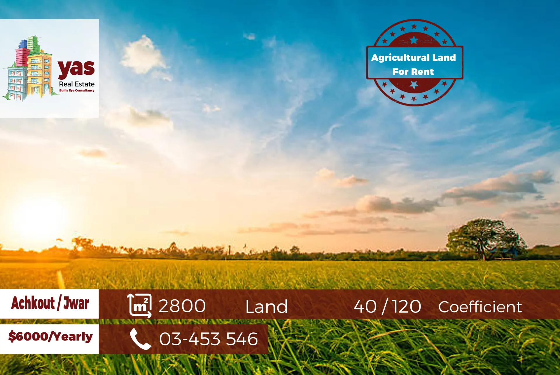 Land for Rent in Ashqout